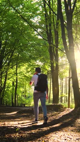 person hiking in a forest