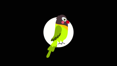 cute cartoon parrot illustration