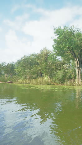 beautiful lake surrounded by green trees