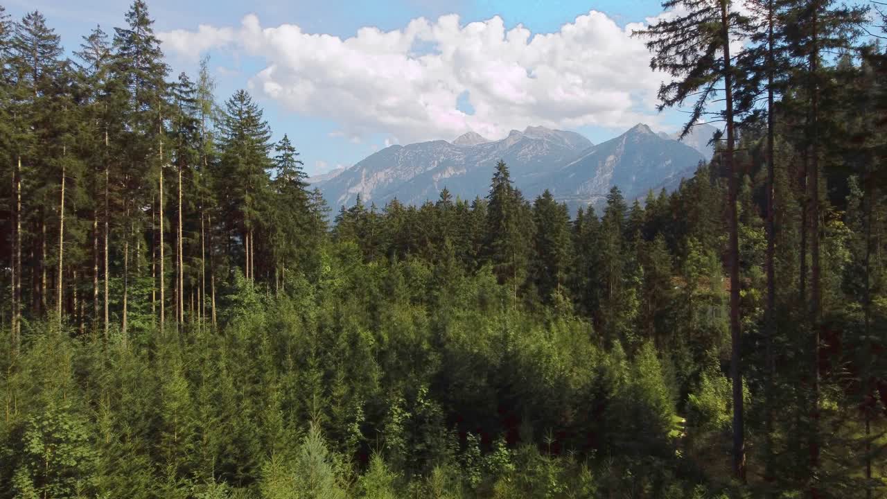 vista aérea de un bosque verde con las montañas de los alpes en el fondo, austria, dolly en
