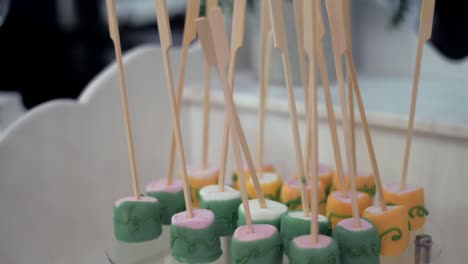 soft handheld shot of pastel-coloured marshmallows on skewers displayed on a stand.