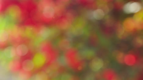 fondo de resorte abstracto con bokeh