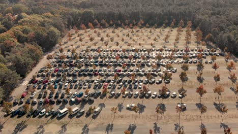 sideway aerial drone shot of a parking space in the middle of a forest with cars parked and sunlight creating shadows of the symmetrically placed trees