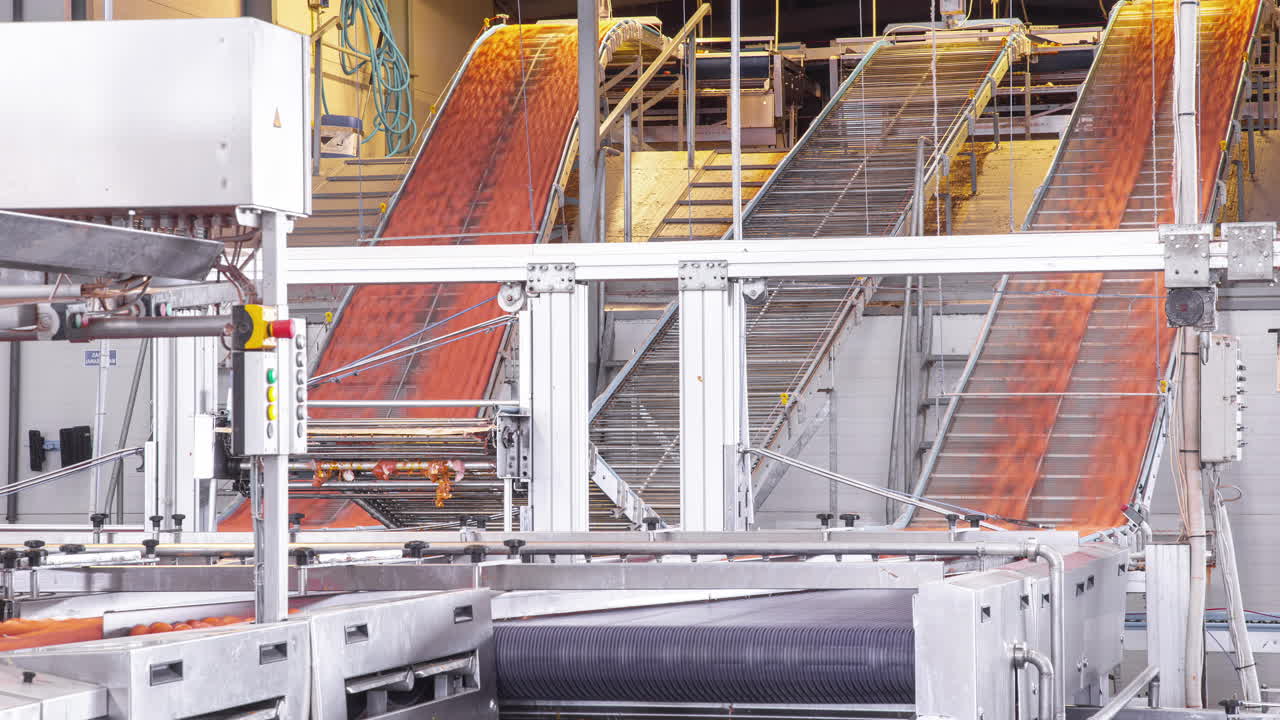 The conveyor line with cardboard egg trays in a packaging factory