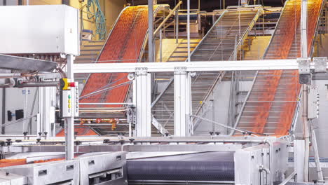 the conveyor line with cardboard egg trays in a packaging factory