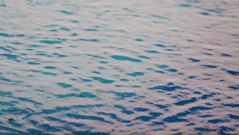 Toma-En-Cámara-Lenta-De-Agua-Azul-Ondeando-En-La-Superficie-De-Una-Piscina