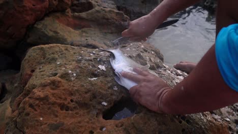 manos masculinas habilmente quitar los huesos de pescado con un cuchillo en las rocas del mar