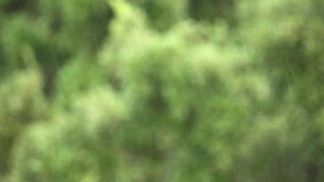 lluvia ligera cae frente a un fondo verde borroso - espacio de copia