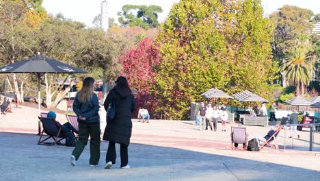 dos personas caminando en un parque vibrante