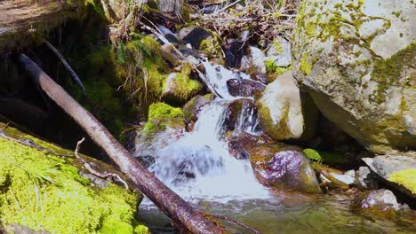 cascada de agua sobre rocas cubiertas de musgo en el bosque en un cálido día de primavera, cámara lenta