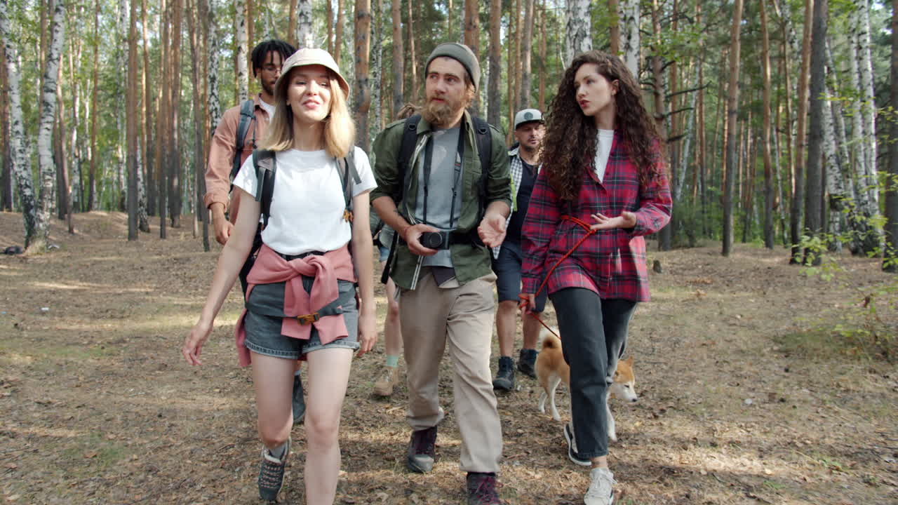 숲에서 산책하는 친구들