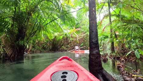 kayakers navigate lush, serene krabi waterways