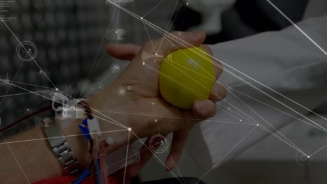 Animation of network of connections over hands of caucasian doctor and patient holding ball