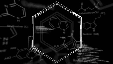 animación del procesamiento de datos y formas sobre fondo negro