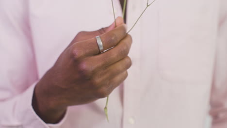 handsome man holding a little branch of common gysophila