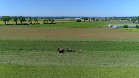 Eine-Drohnenaufnahme-Eines-Amish-Bauern,-Der-An-Einem-Sommertag-Mit-Vier-Pferden-Seine-Ernte-Erntet-Und-Dabei-Eine-Von-Einem-Gasmotor-Angetriebene-Schneidmaschine-Zieht