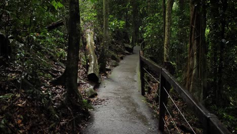 Wanderweg-In-Natürlicher-Brücke,-Springbrook-Nationalpark,-Hinterland-Der-Goldküste,-Australien