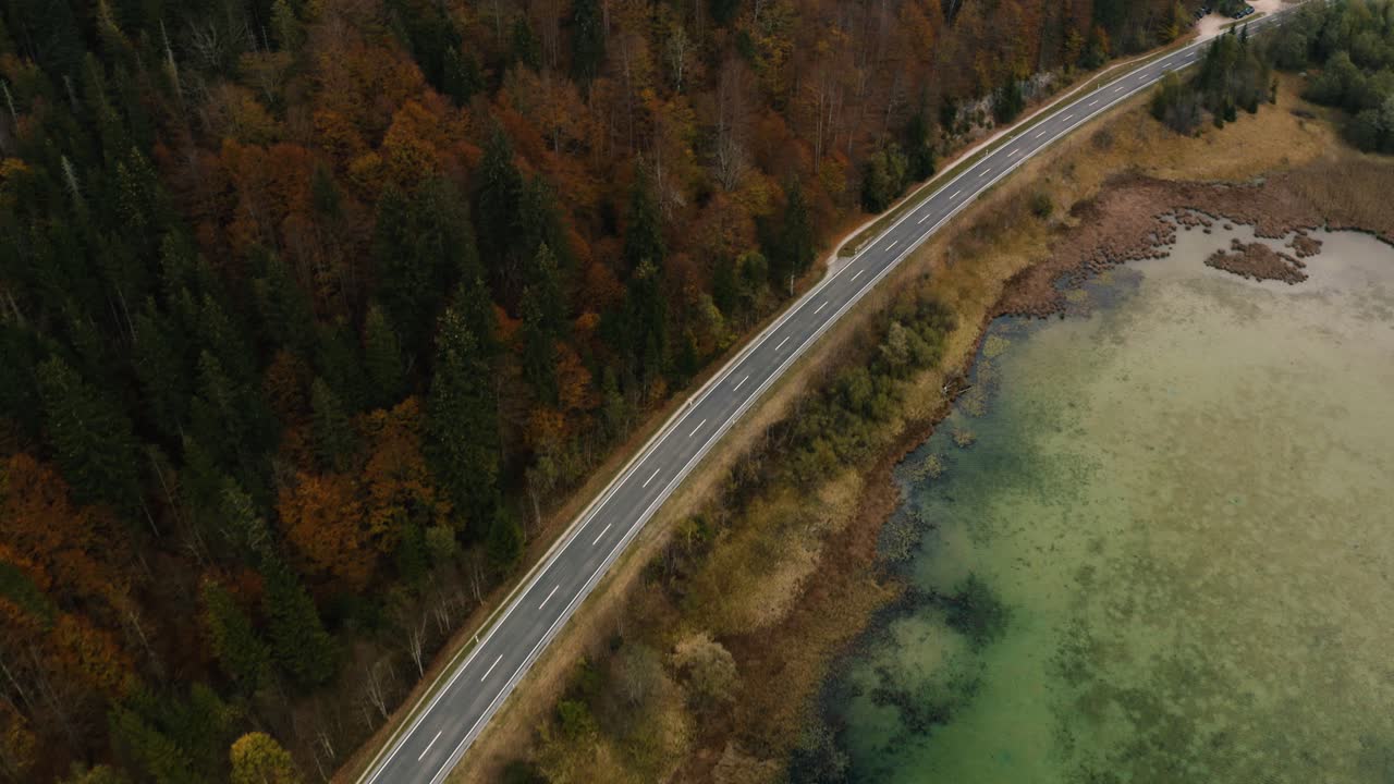 paisaje de otoño en baviera, alemania | 4k uhd d-log: perfecto para gradación de color
