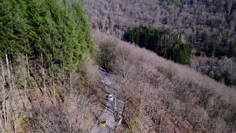 narrow road visible between the pine trees in the ardennes with cars driving by