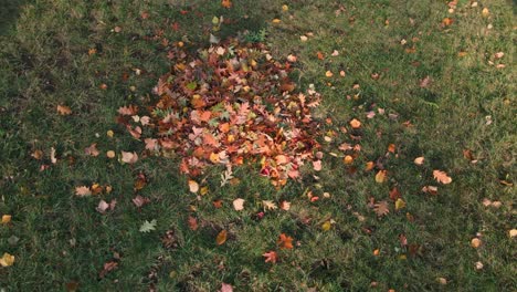 a low drone spin around a collected pile of leaves