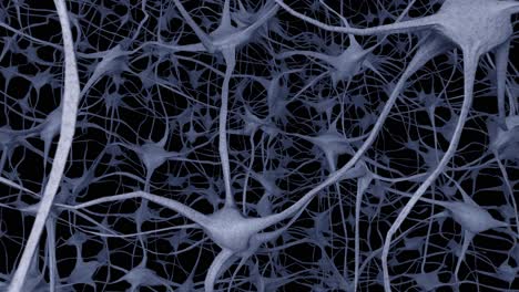 neurons brain mind axon thought neural network dendrite cell health science 4k