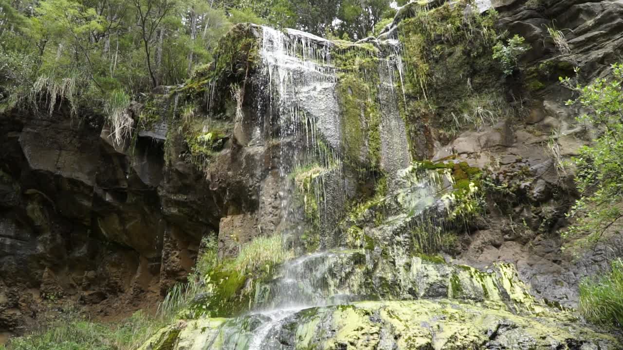 slowmo - cerca de la cascada en el nativo forrest mokoroa falls, auckland, nueva zelanda