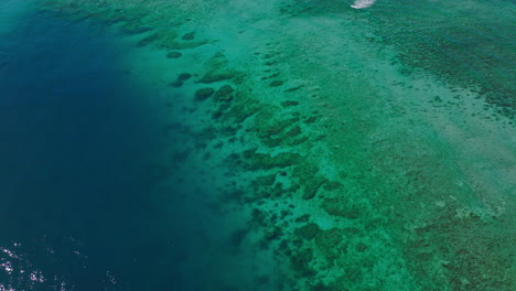 Underwater reef textures and patterns in shallow tropical water from above
