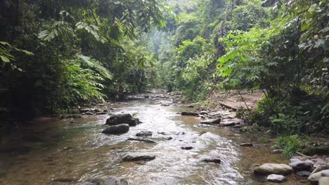 Toma-Inclinada-De-Un-Pequeño-Río-Dentro-De-Una-Selva-Tropical,-Filmada-En-Sumatra,-Indonesia