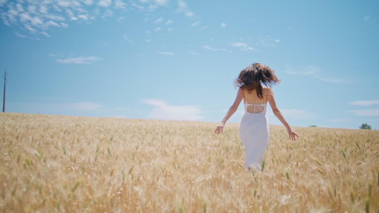 Young woman moving spikelets meadow back view. Carefree girl running wheat field