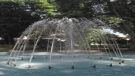 fountain in a park