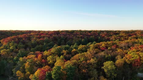 drone shot elevating above the lushes, colorful autumn forest in started rock state park at eagles cliff in illinois