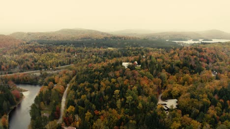 Herbstblätter