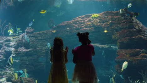 two-little-girls-at-aquarium-watching-tropical-fish-in-corel-reef-habitat-curious-children-looking-at-marine-animals-in-oceanarium-having-fun-learning-about-sea-life