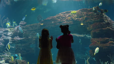 two little girls at aquarium watching tropical fish in corel reef habitat curious children looking at marine animals in oceanarium having fun learning about sea life