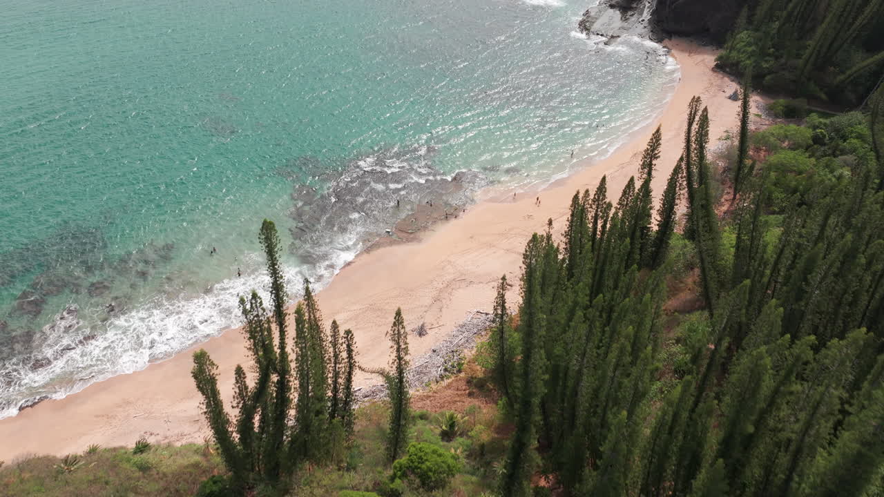 Aerial view of Turtle Bay near Gouaro, New Caledonia, with turquoise Pacific waters, sandy beach, rocky cliffs and tall pine forest along the coast