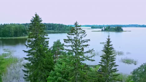 las imágenes de drones que despegan detrás de los pinos revelan un gran lago con islas