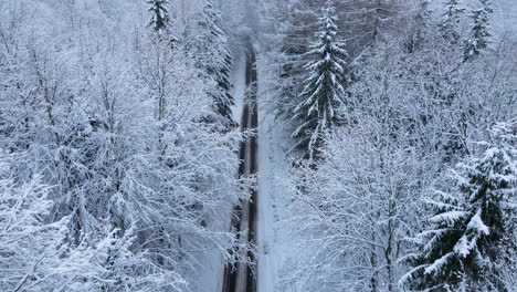 Hermoso-Vuelo-Aéreo-A-Lo-Largo-De-Un-Camino-Rural-Nevado-De-Invierno-Con-Altos-árboles-Cubiertos-De-Nieve