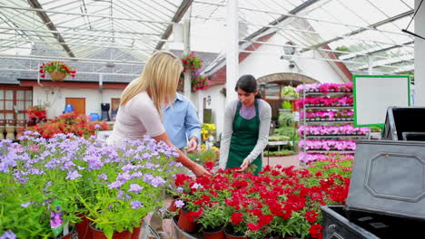 Paar-Und-Assistent-Stehen-Im-Gartencenter