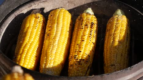 grilled corn on the cob