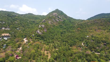 impresionante vuelo de avión no tripulado a cámara lenta sobre la densa jungla tropical de la isla