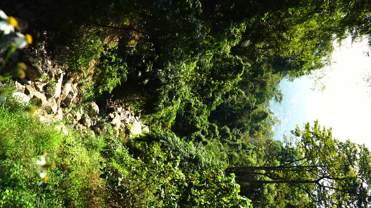 paisaje vertical de la provincia de lam dong