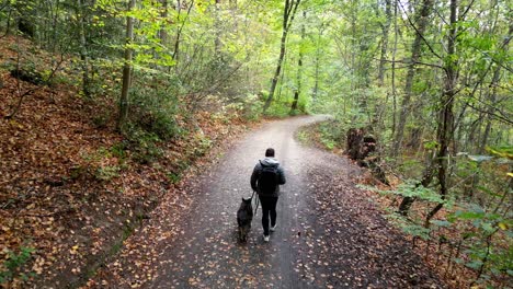 Walking-my-dog-at-Venusberg-in-Bonn,-Germany