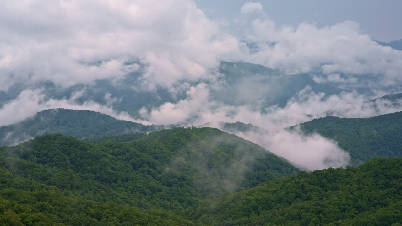 Mist and sky converge in a graceful aerial ballet over the Smokies