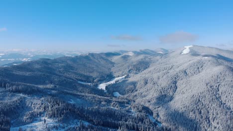 vista of dense woodland on snow mountains during winter season