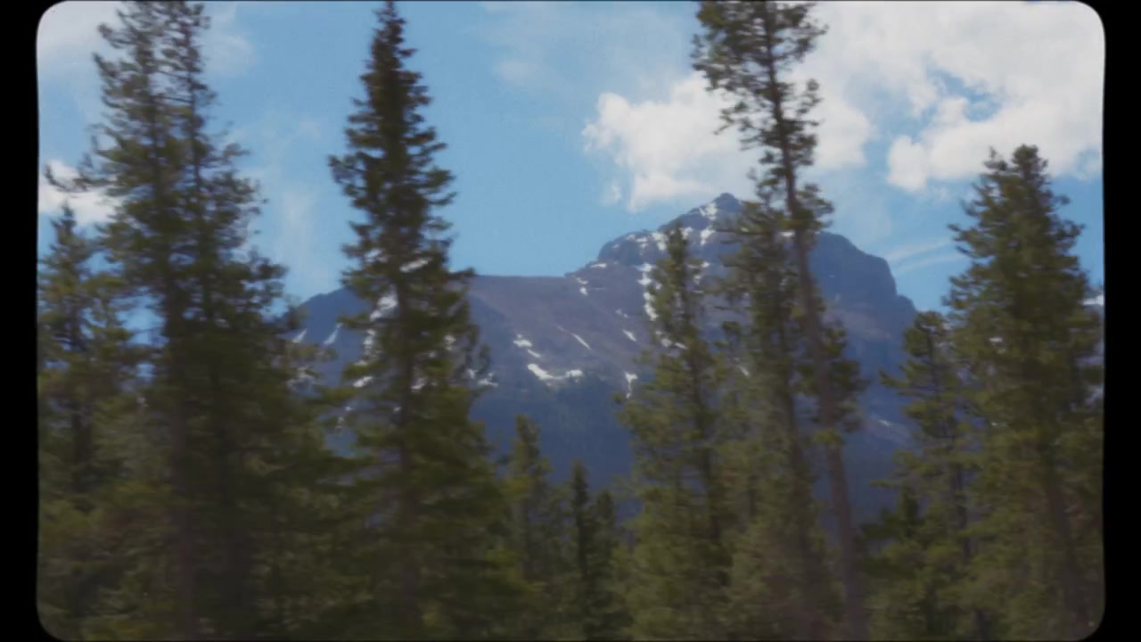 Drive through pine trees and snowy peaks