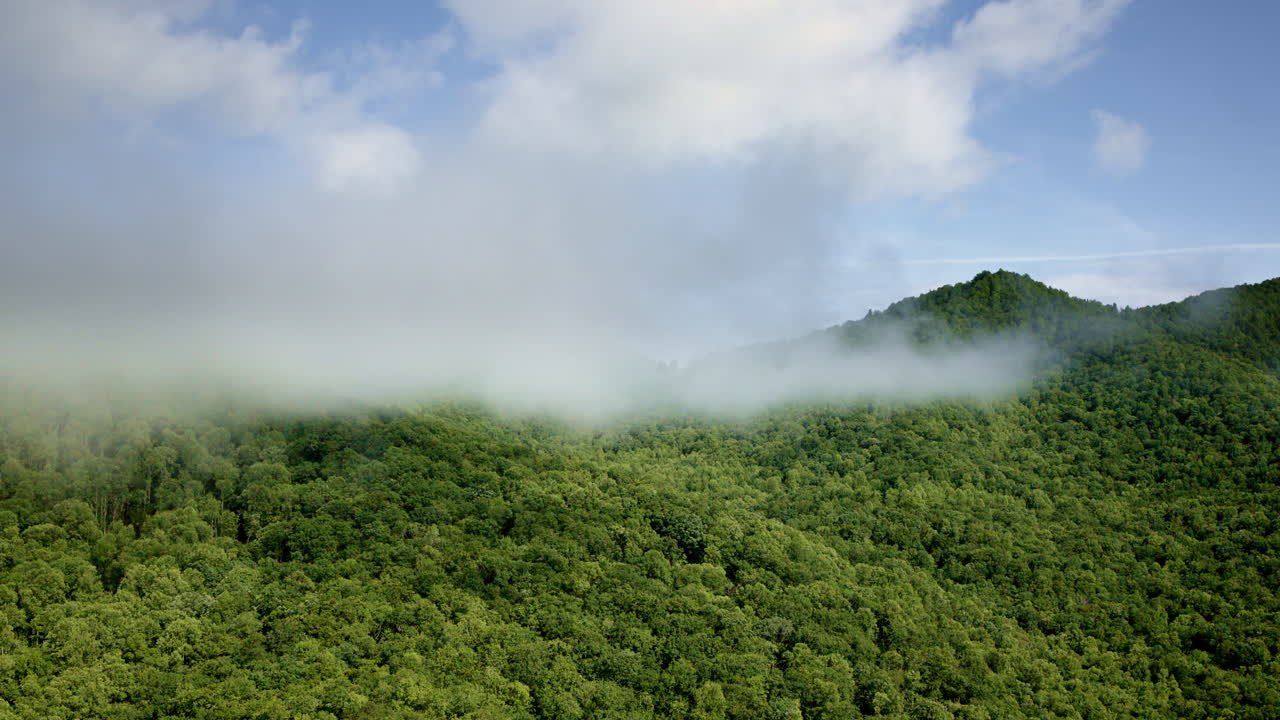 Aerial shot of fog hugging the peaks of the Smoky Mountains, NC