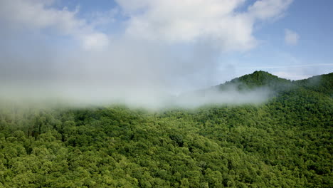 aerial shot of fog hugging the peaks of the smoky mountains, nc