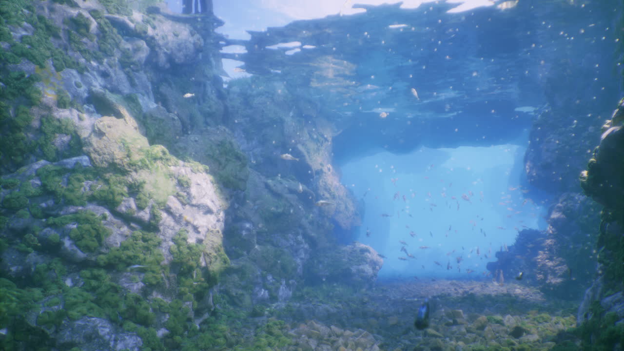 Underwater landscape filled with colorful fish and vibrant sea plants