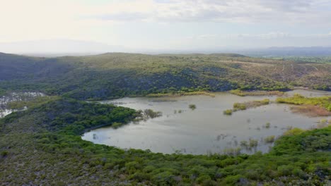 Biodiverse-wetland-area-on-Caribbean-coastline,-Dominican-Republic