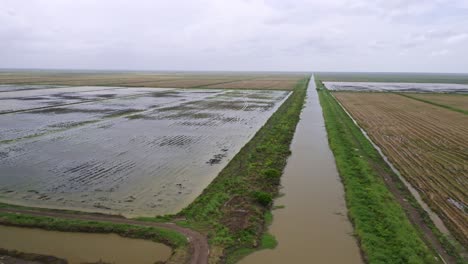 aerial: grandes campos de arroz inundados con huellas de neumáticos de tractor, canal que fluye a través, escena del paisaje en nickerie suriname